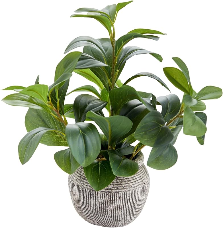 AlphaAcc 12.8" Artificial Ficus Plant in Cement Pot Home Desk Decor | Lifelike fake plant with varied green foliage,no watering for tabletop, counter, living room & kitchen nook decor