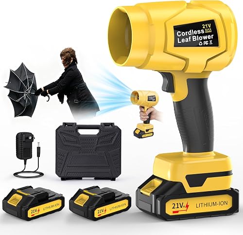 Handheld 21V Cordless Leaf Blower, 990000 RPM, 2 Pack 6.0Ah Batteries