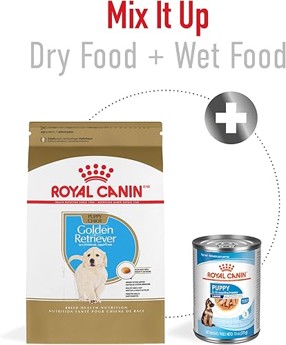 Miniatura 6 de Royal Canin Breed Health Nutrition Golden Retriever - Comida seca para perros
