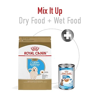 Amazon.com: Royal Canin Breed Health Nutrition Golden