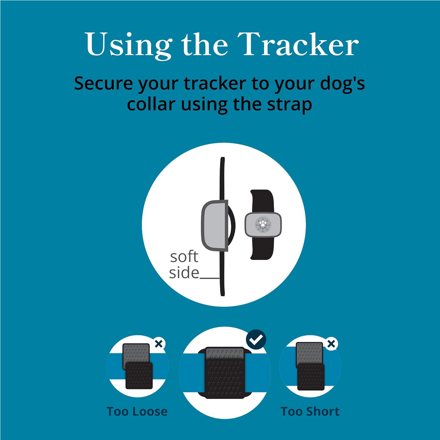 petivity Smart GPS and Activity Dog Tracker Tag