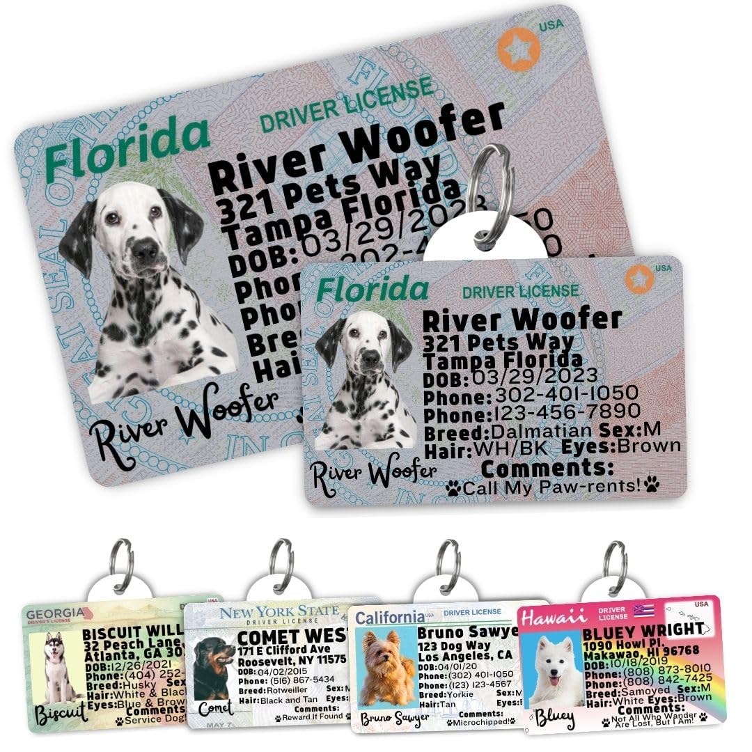 Amazon.com: PawFurEver Personalized Dog Driver License ID Tag for