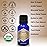 Organic, Cardamom Essential Oil, Food Grade - 100% Pure, Cardamom Oil, by Zongle Therapeutics, 15 ML