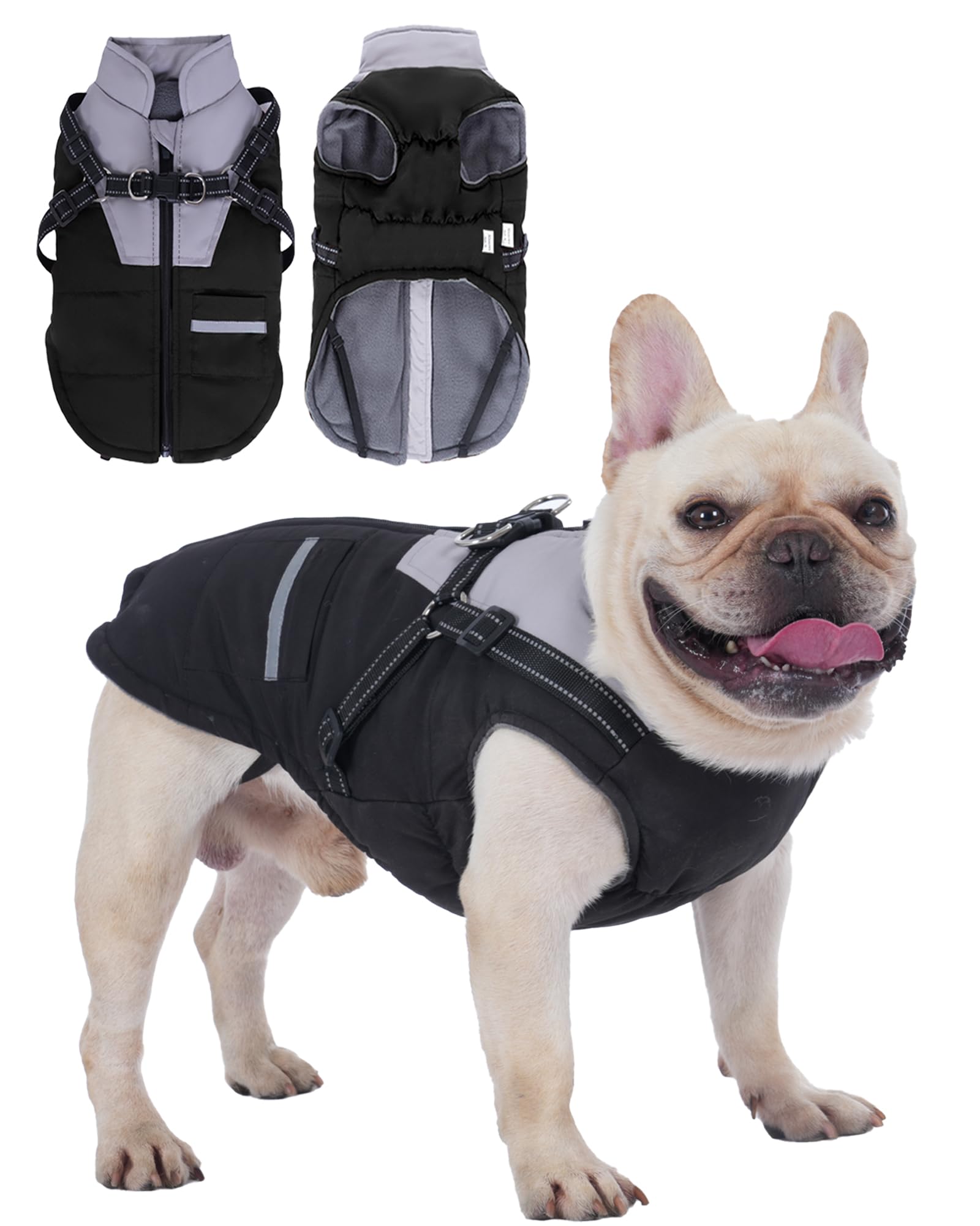 Cappottino Cane: Cappottini per Cani Piccola taglia Impermeabile Giubbotto - Cappotto Cane con Pettorina Adatto Invernale