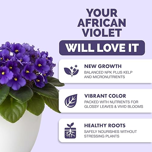 Miniatura 2 de Fertilizante violeta africana  Alimento líquido para plantas de interior de violeta africana, 8 onzas