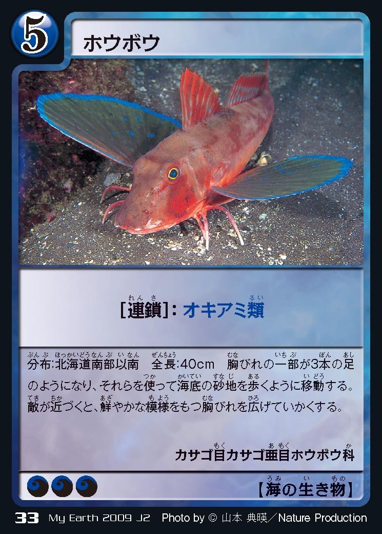 Amazon.co.jp: 地球環境カードゲーム マイアース スタートパッケージ