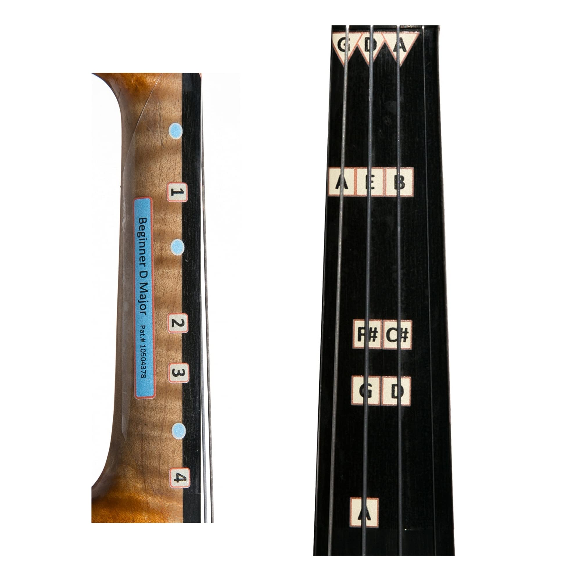 D Major Beginner Guide