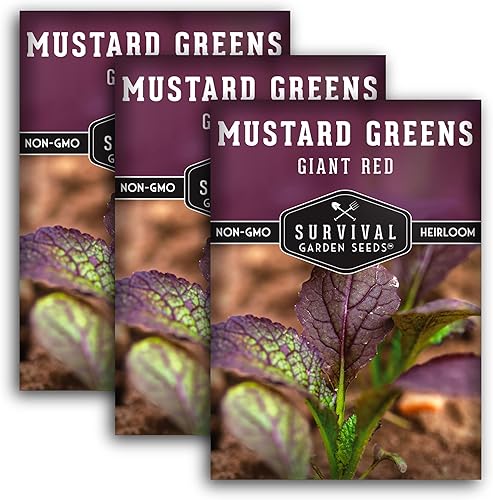 Survival Garden Seeds - Semilla gigante de mostaza roja para plantar - 3 paquetes con instrucciones para plantar y cultivar hojas picantes de