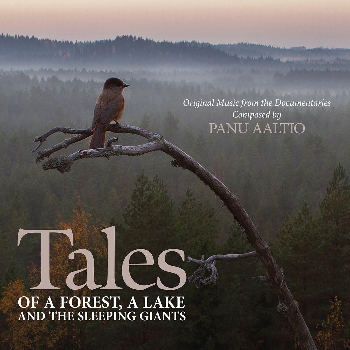 Tales Of A Forest, A Lake And The Sleeping Giants