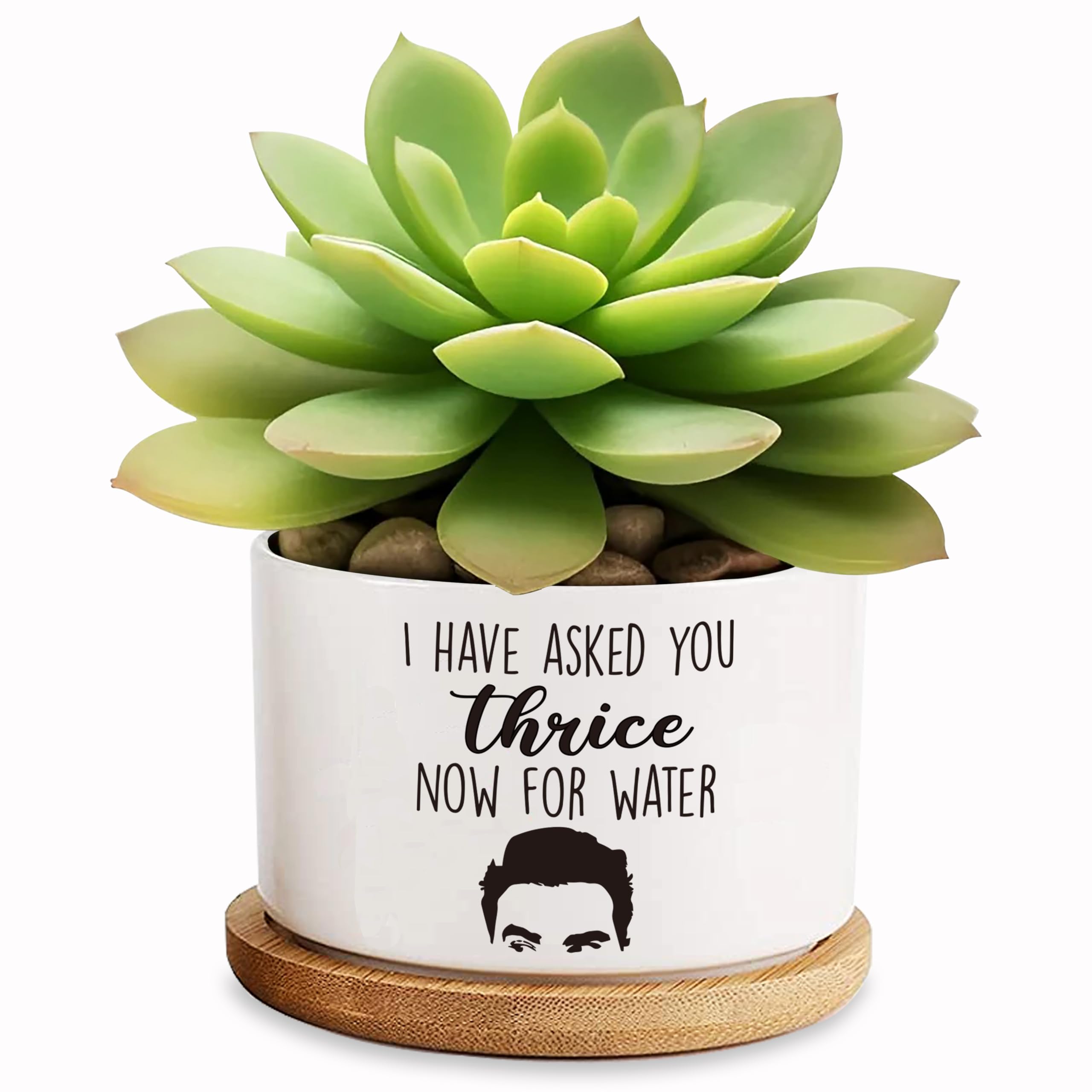 Thrice Now for Water Ceramic Succulent Planter Cactus Pots, Funny Planter Pots Gifts for Plant Lovers