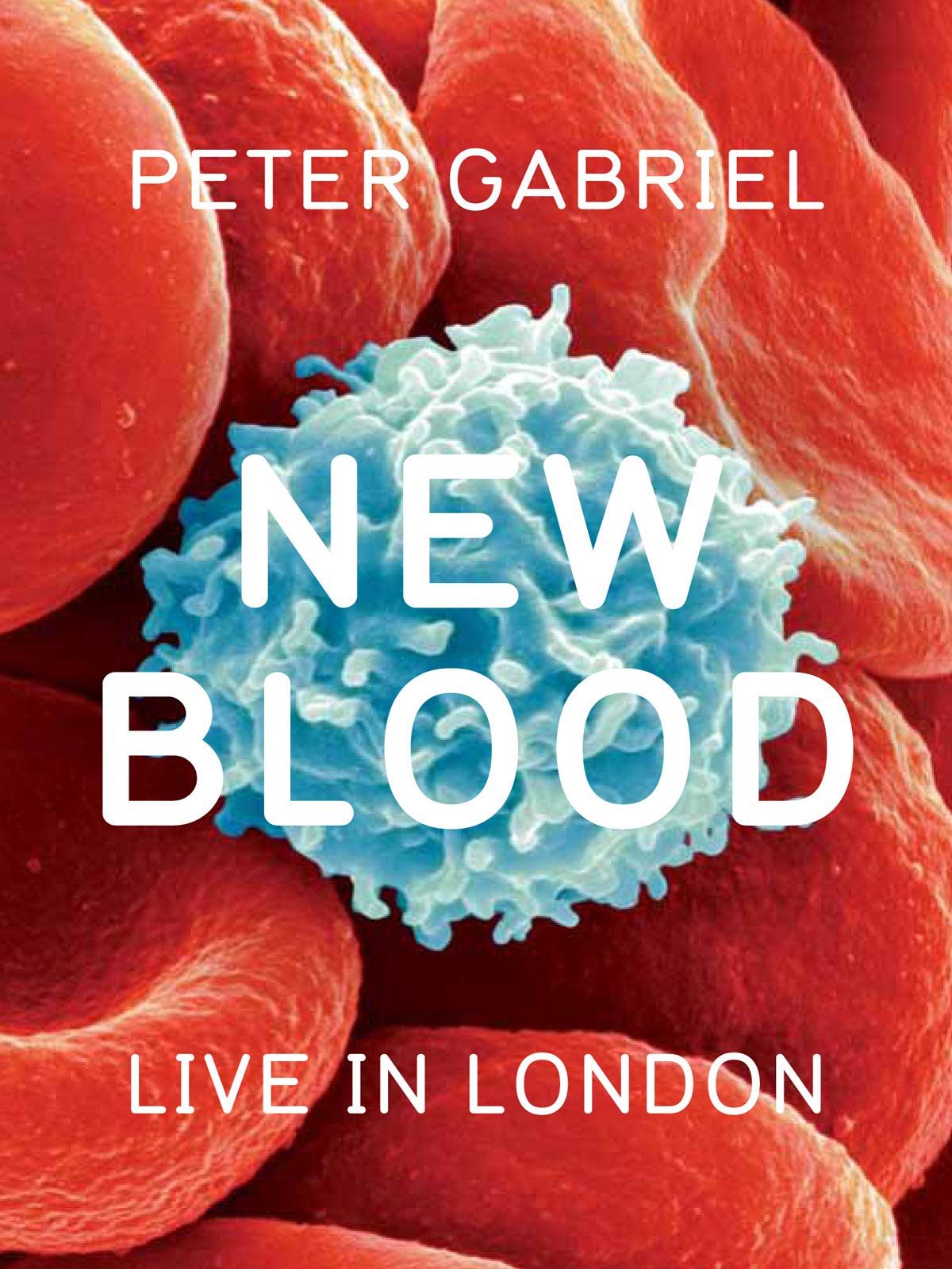 Peter Gabriel - New Blood Live In London