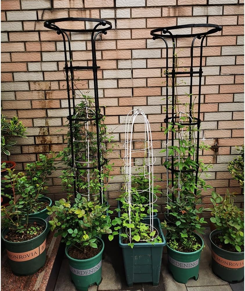 Vertical Metal Umbrella Trellis Tower,Vine Supports Plant Tower for Climbing Vines and Flowers, 90CM/35.4IN , 120CM/47.2IN , 150CM/59.1IN , 180CM/70.9IN , 210CM/82.7IN ( Color : Black , Size : 210CM/8