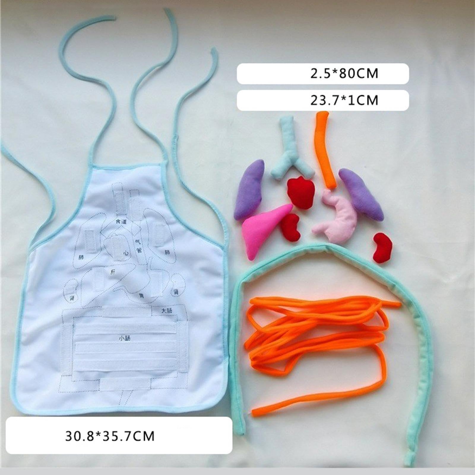 Sharplace Grembiule 3D con Organi per Bambini, Grembiule Didattico Tridimensionale del Corpo Umano, Modello di Organi Interni, per Scuola E Asilo Nido, Blu
