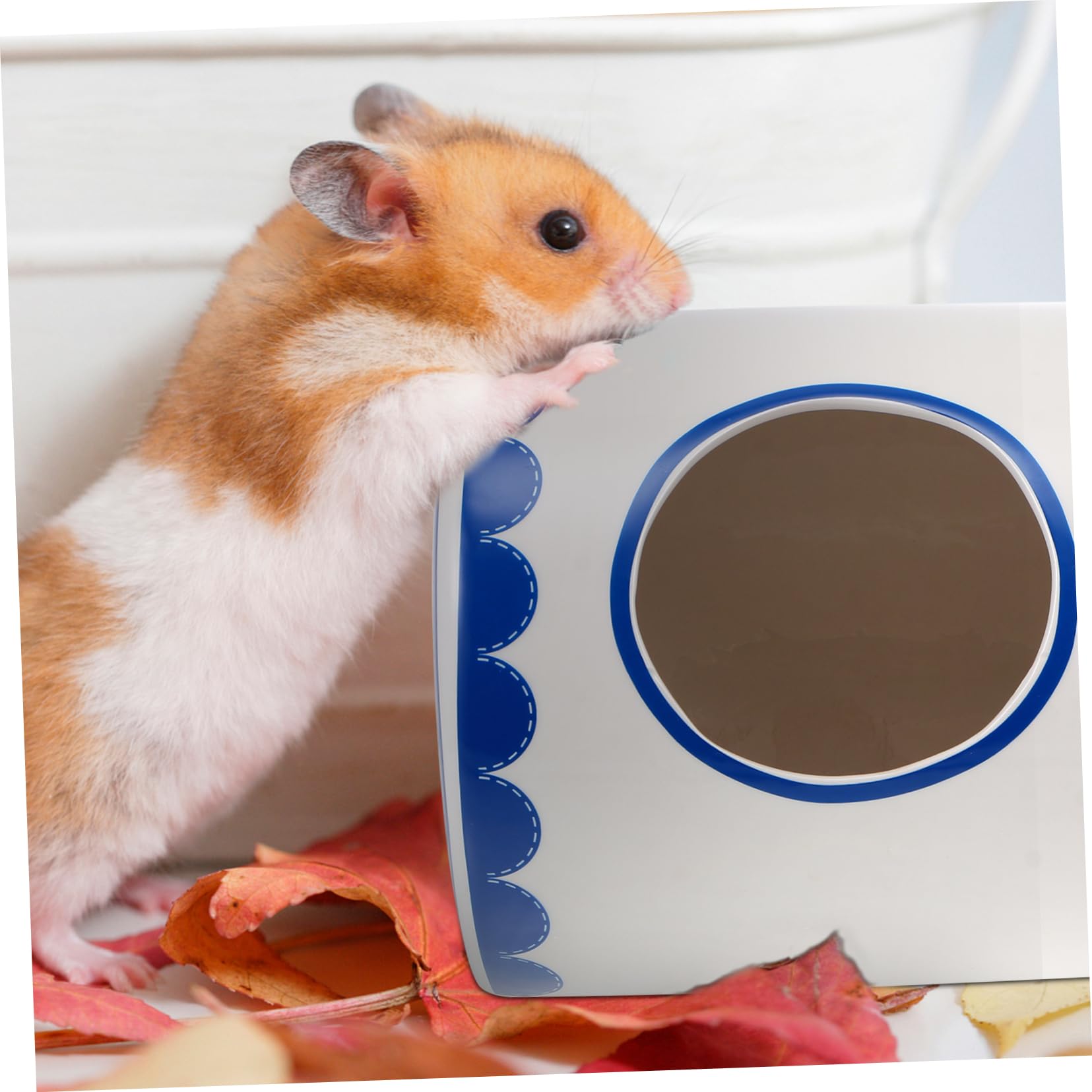 Sosoport Keramik Kühlhaus für Hamster und Chinchilla, Sommerhaus Blau