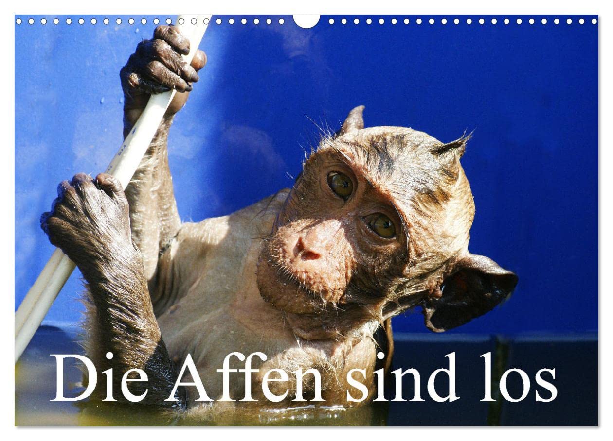 Die Affen sind los (Wandkalender 2025 DIN A3 quer), CALVENDO Monatskalender: Aufnahmen in Thailand und Borneo gemacht (CALVENDO Tiere)