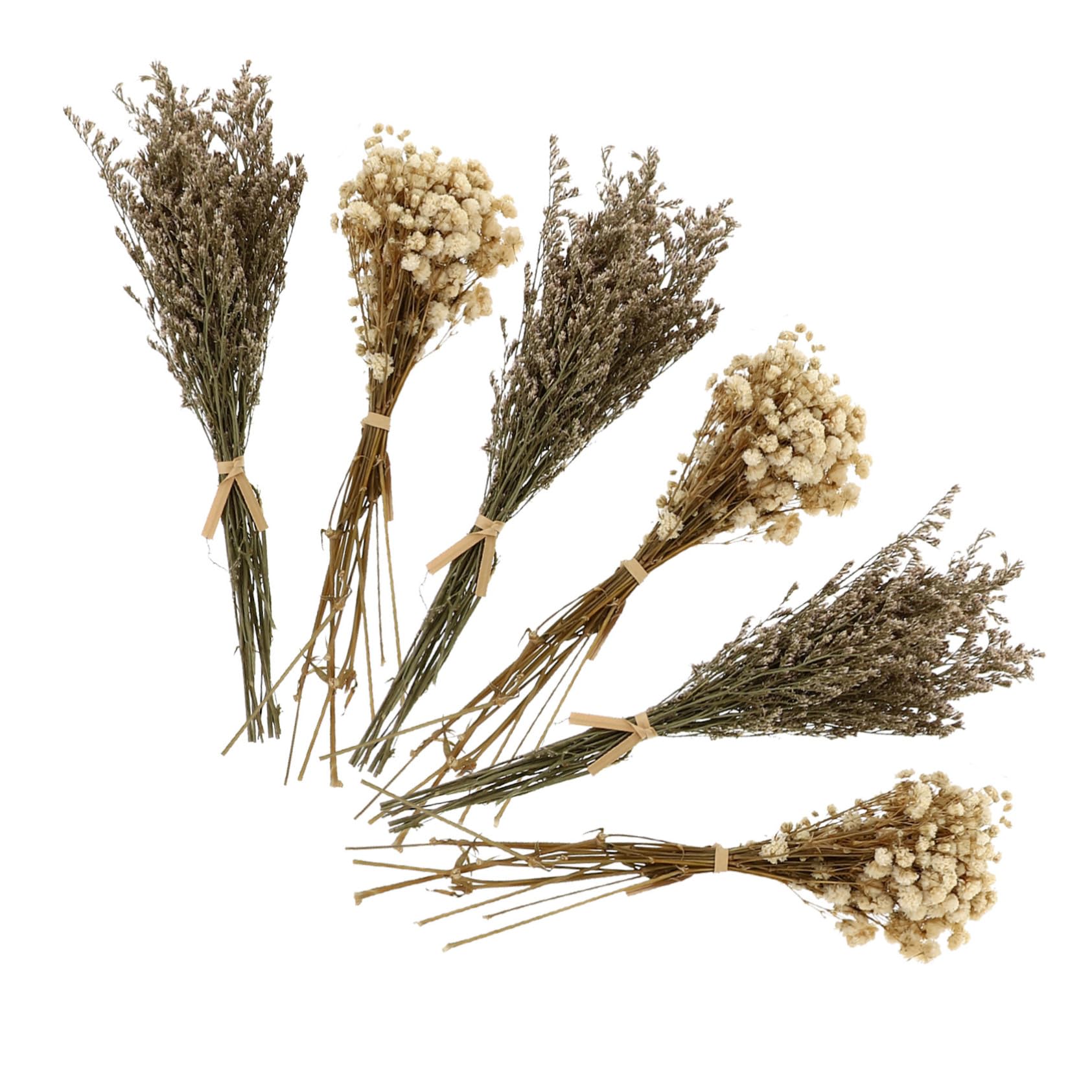 Alipis 30 Pièces Gypsophile De La Saint-Valentin Bouquets De Fleurs Artificielles Bouquets De Fleurs De Gypsophile Séchées Bouquet De Fleurs Orner Décor Gazon Fleurs Séchées Petit Vase