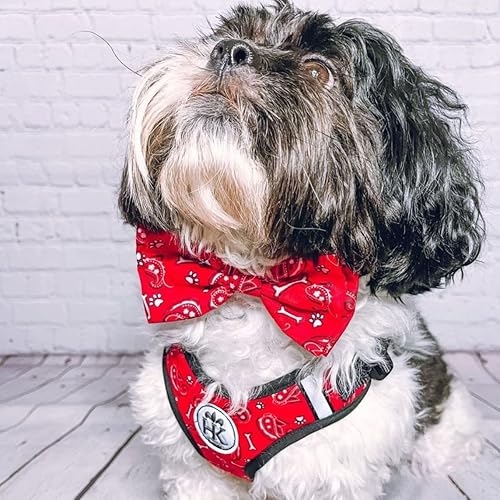 Miniatura 5 de H&K Scout LoPro Arnés  Bone Dana Red  Arnés chaleco de malla fácil control con tiras reflectantes para mayor seguridad (Small)