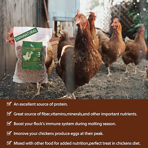 Miniatura 6 de Gusanos de harina secos grandes sin OMG con alto contenido de proteínas para pollos, larvas naturales y golosinas de aves de corral como alimento