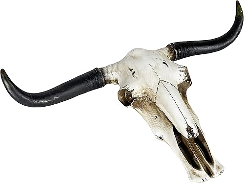 Miniatura 14 de Urbalabs - Escultura de pared de cuernos de calavera de cuerno largo de Texas, animales de taxidermia sintética, decoración de pared occidental