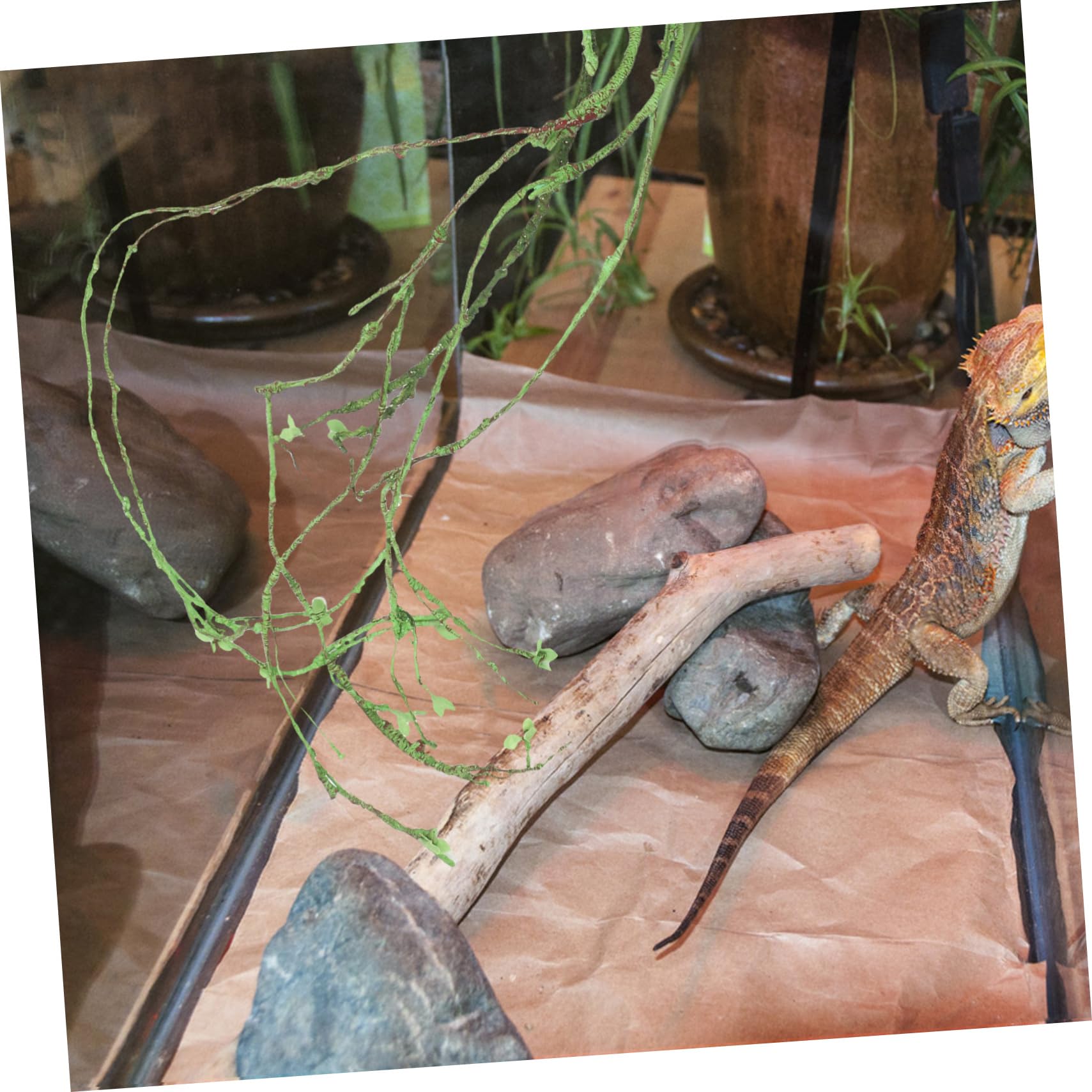BESPORTBLE Vite Rampicanti Finte per Rettili Decorazione per Terrario Ornamento Vite per Acquario Accessorio per Rettili Piante Rampicanti Artificiali per Uso Domestico Forniture