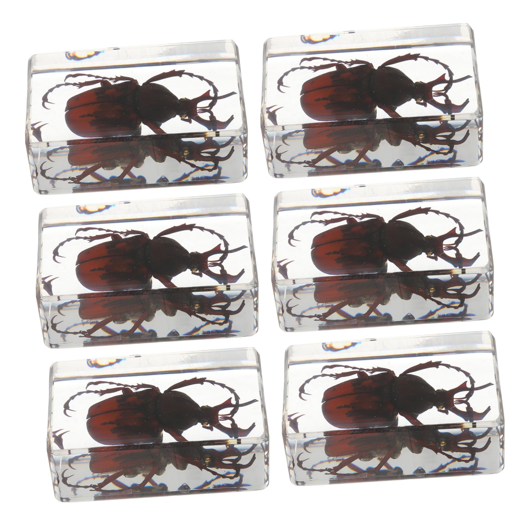 STOBAZA Scorpion Specimen Collection 6pcs Resin Beetle Spider Scorpion Insect Crafts for Education Display Decor