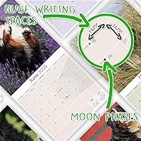 Vista 1284 de Razas de Perros 2017