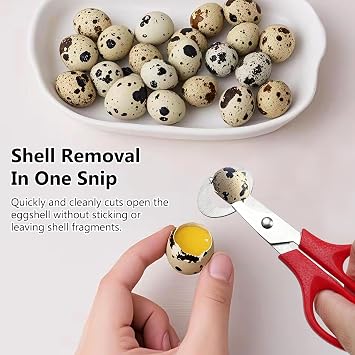 Stainless Steel Quail Egg Cutter Scissors 4PCS Kitchen Egg Shears with Easy-Grip Handles