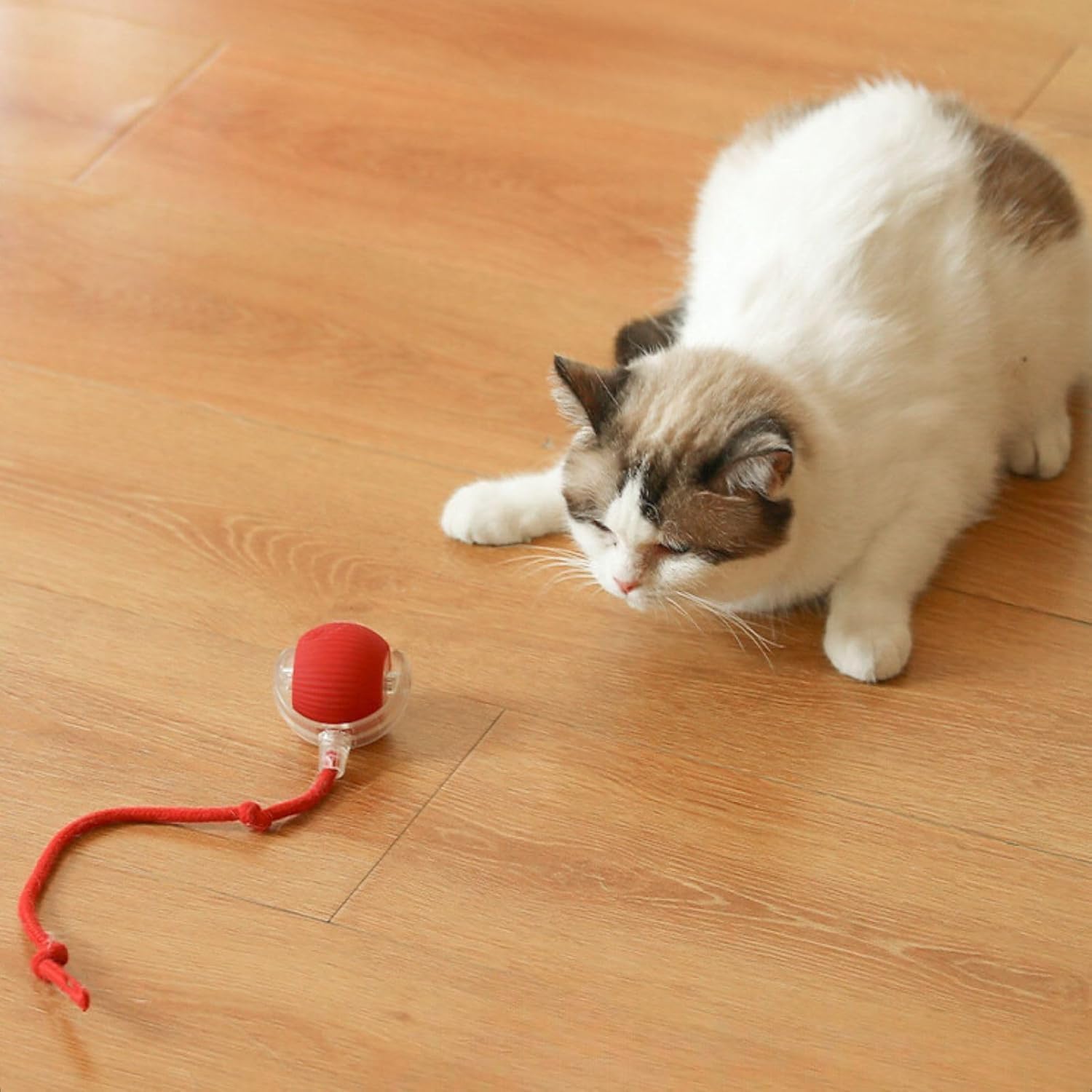 VENEXA Cat Dancing Ball | Pet Rolling Ball | Rolling Dog Ball | Cat Toys Ball for Indoor Cats Fast Rolling on Carpet, 360° Smart Automatic Rolling Pet Ball, Smart Self Rolling Ball for Dog and Cat 3