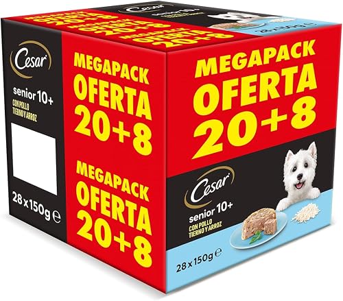 CESAR Senior 10+ Nourriture humide pour chiens, poulet et…
