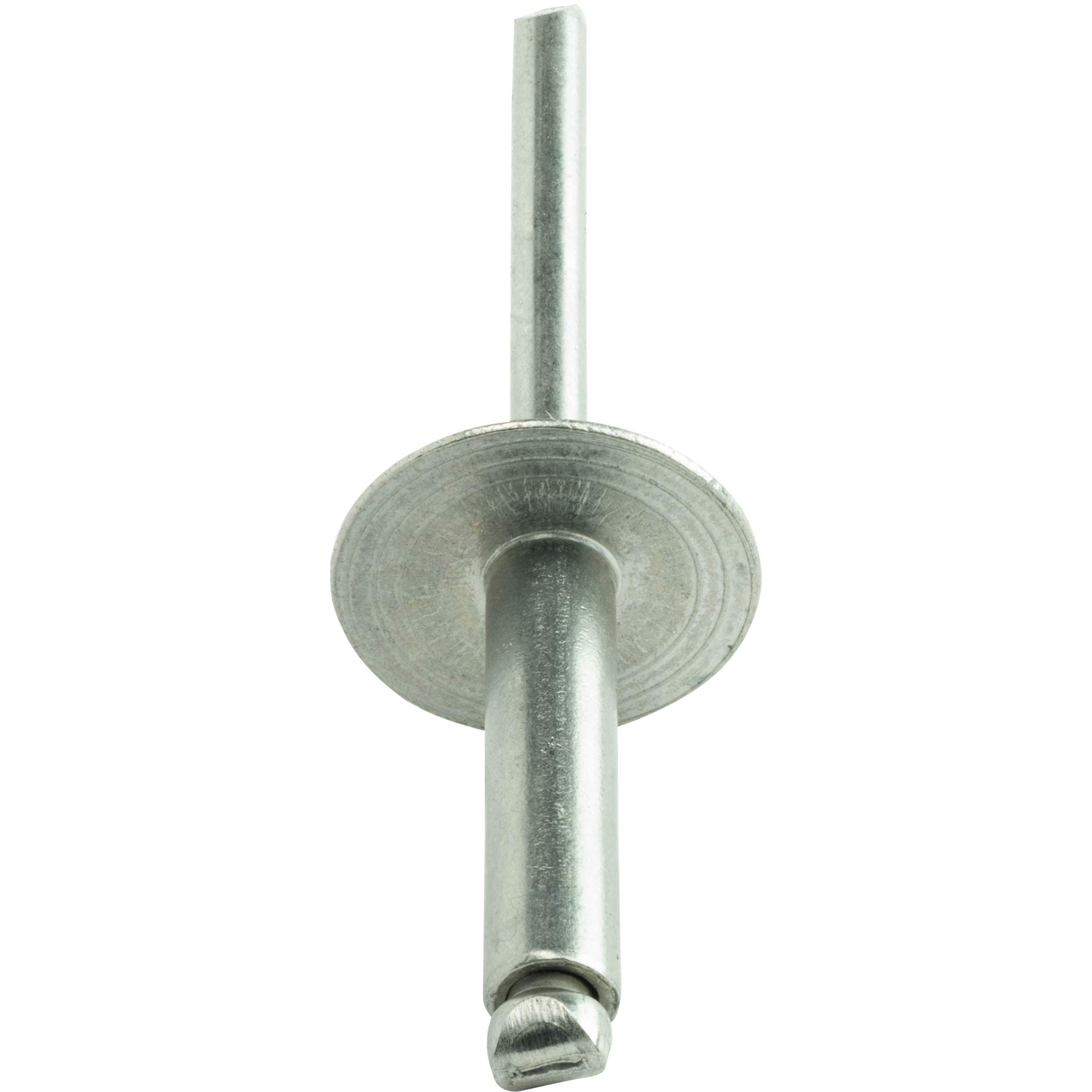 Amazon.com: Fastenere Large Flange Pop Rivets - 3/16