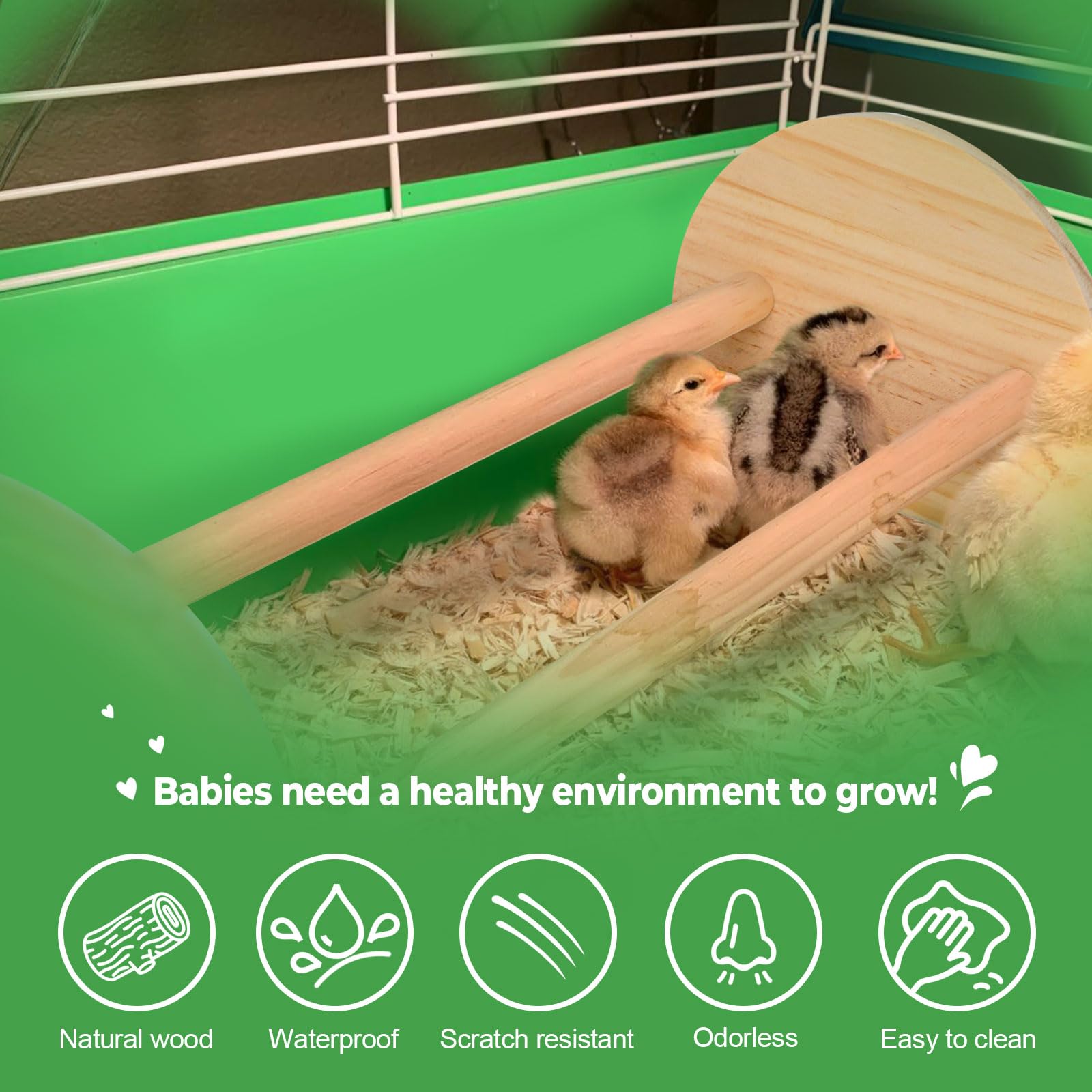Paquete de 2 juguetes de pollo, perca de pollo, para gallinero, duradero, para gimnasio, barra de gallo de madera fuerte, columpio de pollo para suministros de pollo para accesorios de