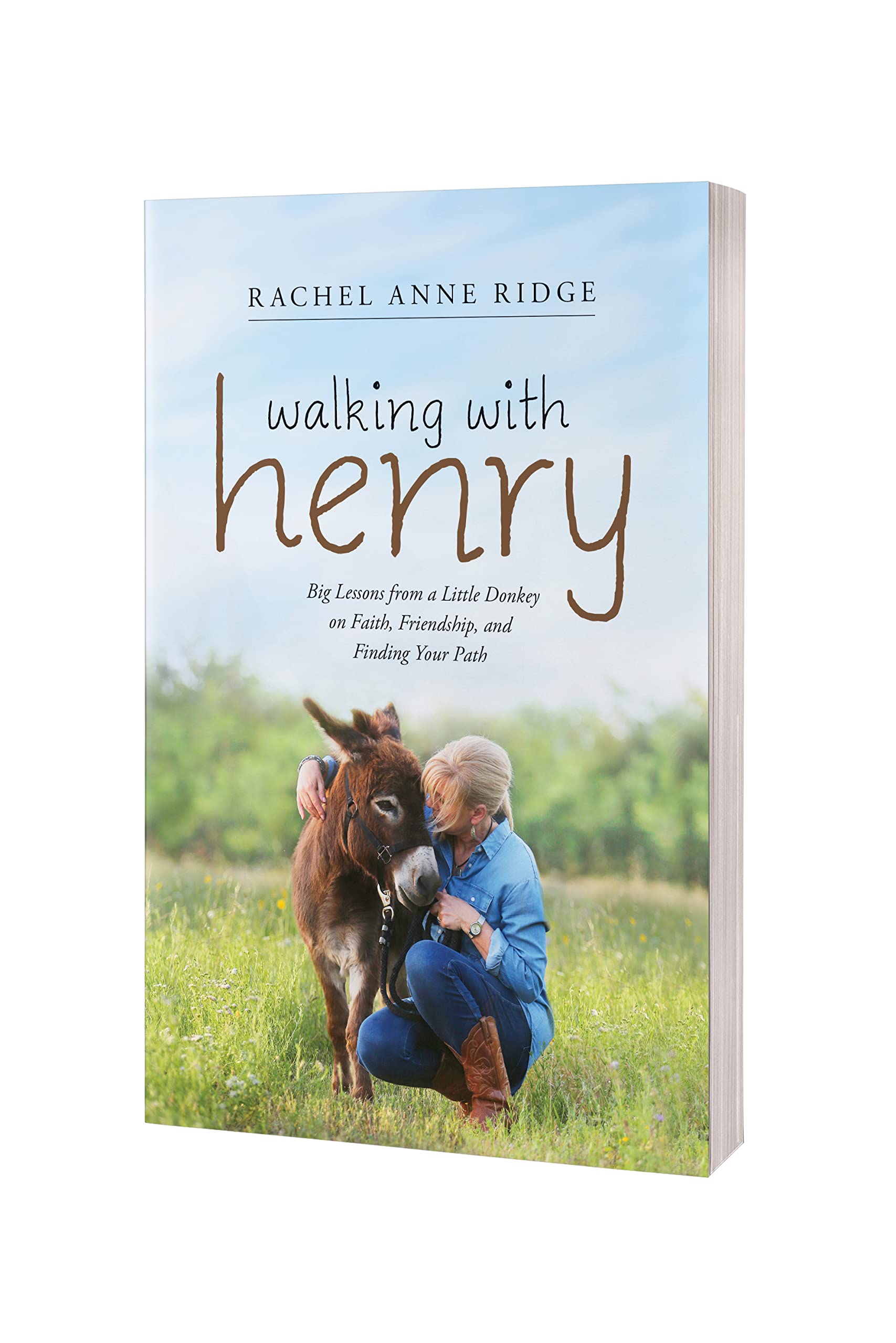 Walking with Henry: Big Lessons from a Little Donkey on Faith, Friendship, and Finding Your Path - Image 2
