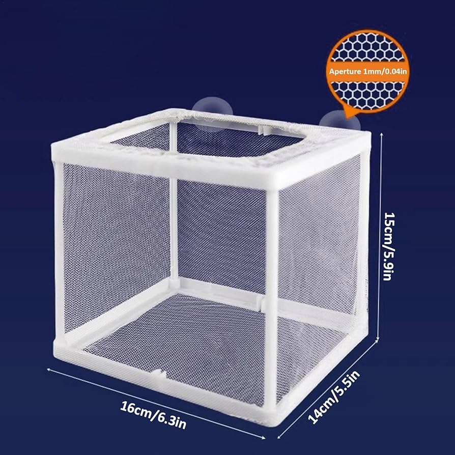 Scatola Parto Per Pesci 4 In 1 - Incubatrice Per Avannotti, Isolamento Per Guppy E Gamberetti - Foto 5