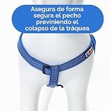 Ver la foto 8