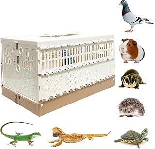 WQY Groceryshop Portable PIgeonTravel Training