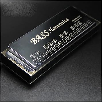 25 Hole Bass Harmonica Professional Performance Musical Instrument