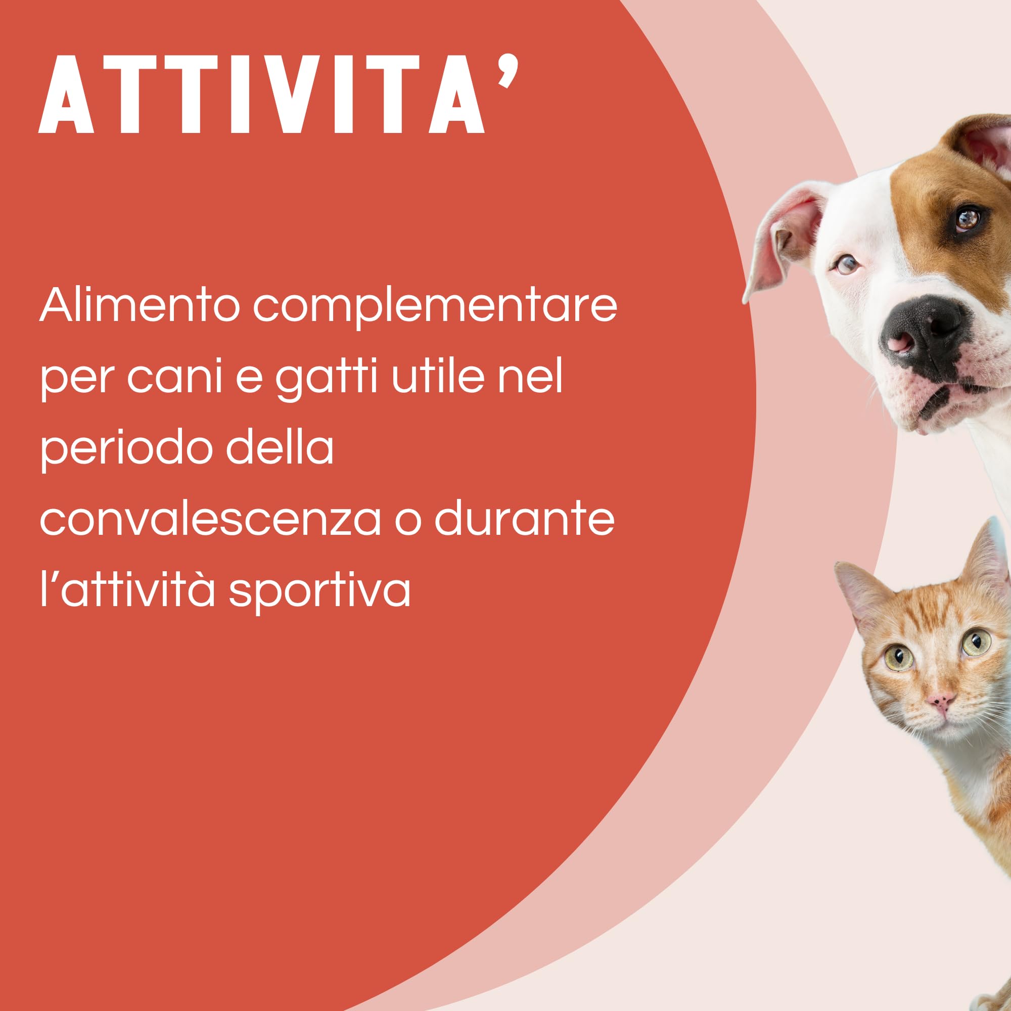 Magilus Integratore Cani e Gatti 100 ml - Aminoacidi, Vitamine, Carnitina e Taurina - Emulsione Fluida per Energia e Vitalità - Olio di Lino, Rosa Canina e Ferro