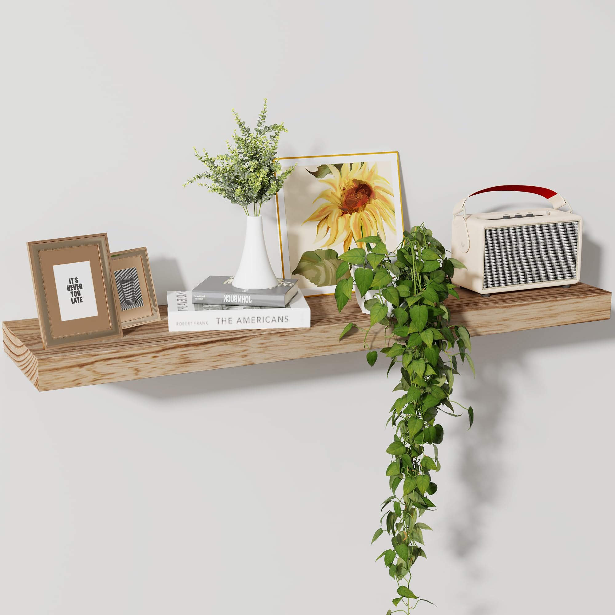Amazon.com: Axeman Floating Shelves, 8 Inch Deep Modern Solid Wood