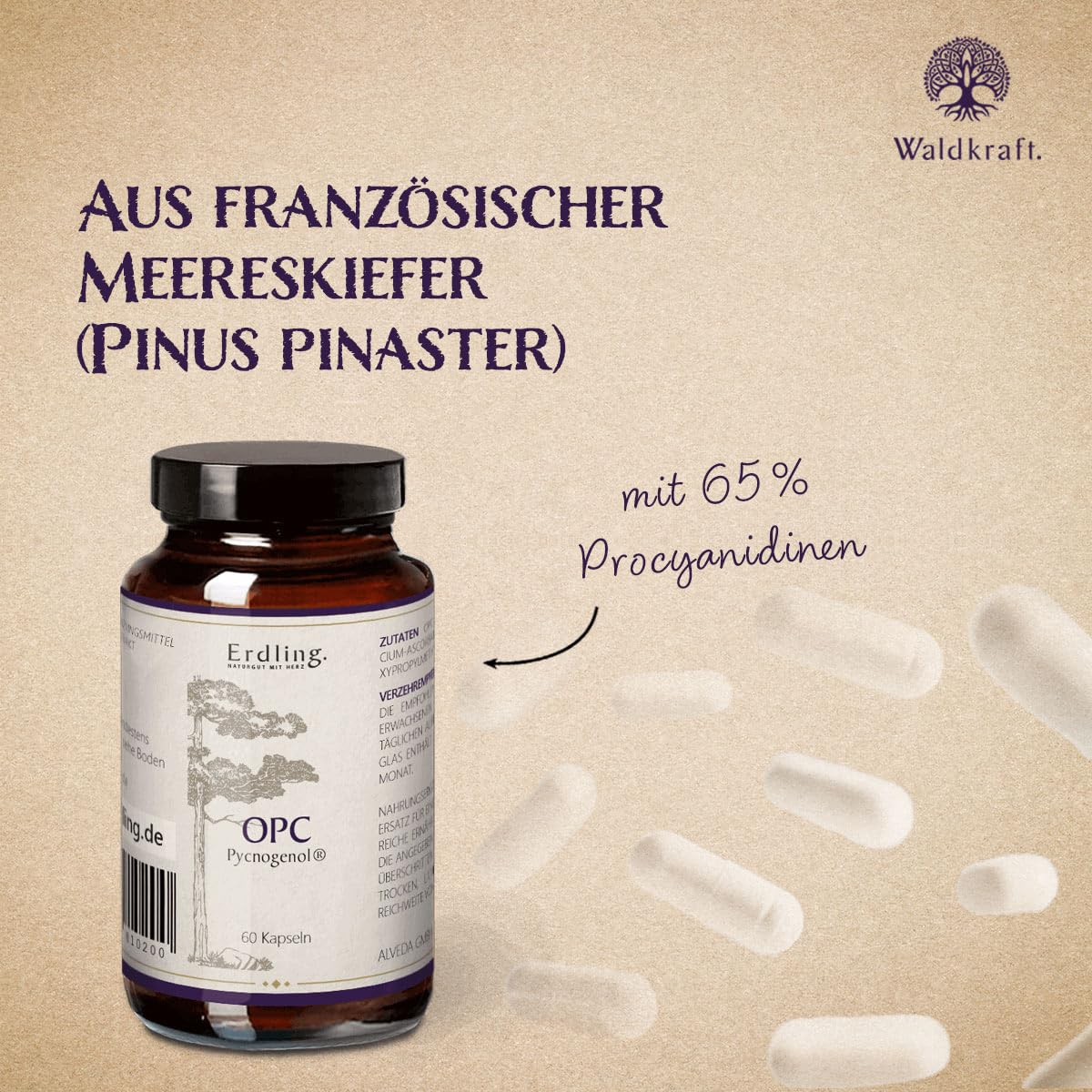 Waldkraft OPC Kapseln | Mit Pycnogenol® aus französischer Meereskiefer | 65 % Procyanidine | Hochwertig und ohne Zusatzstoffe | Vegan | 60 Kapseln im Braunglas