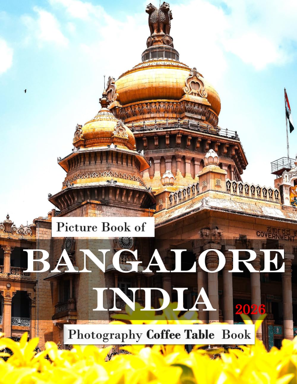 Bangalore India: Beautiful photos showing an amazing country, its architecture and unique charm-perfect for travel lovers.