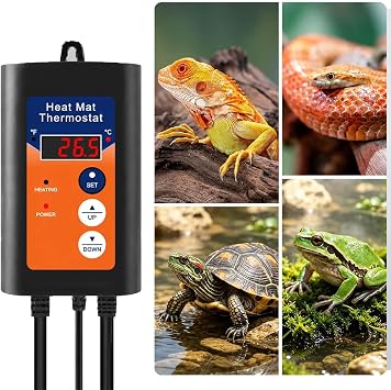 230 V Digital Temperature Controller with Sensor Digital Thermostat
