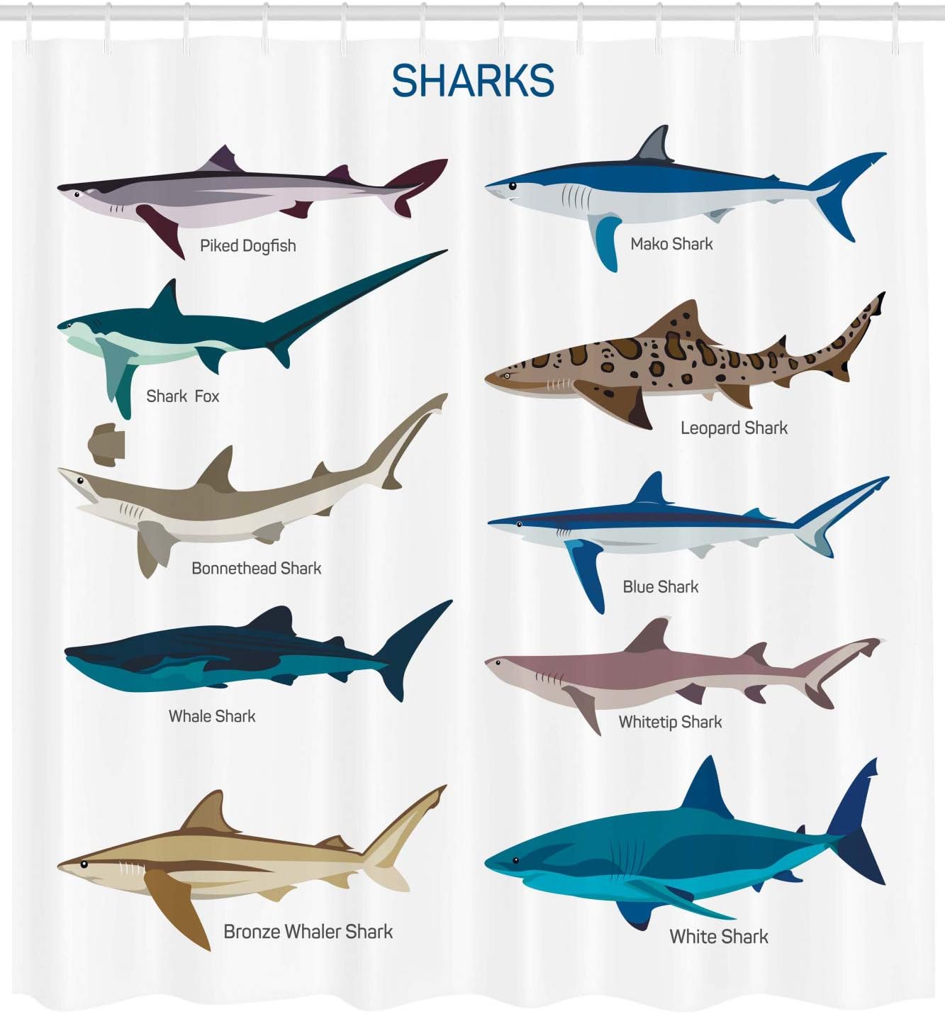 Ambesonne Shark Shower Curtain, Types of Sharks Pattern Whaler Piked Dogfish Whlae Shark Maritime Design Nautical, Cloth Fabric Bathroom Decor Set with Hooks, 69" W x 75" L, White Cadet Blue Brown