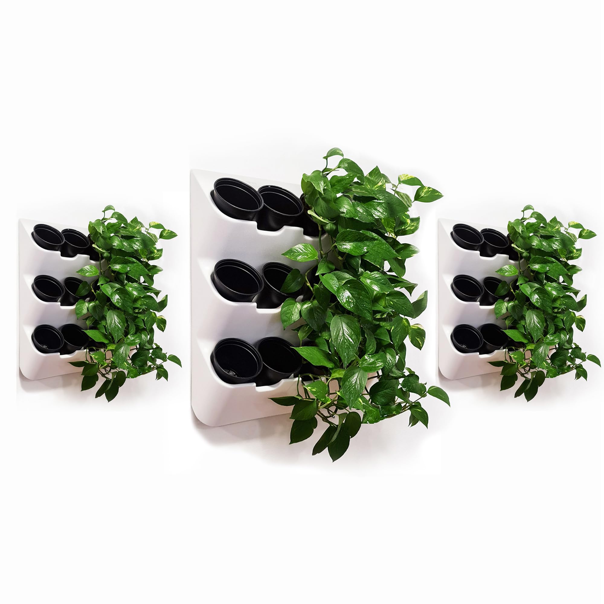 BOXSAND-36 Vertical Wall Planter Set of 3 (24"x74") – Living Wall Planters for 36 Plants, Indoor/Outdoor Vertical Garden System, Easy 6-Screw Install