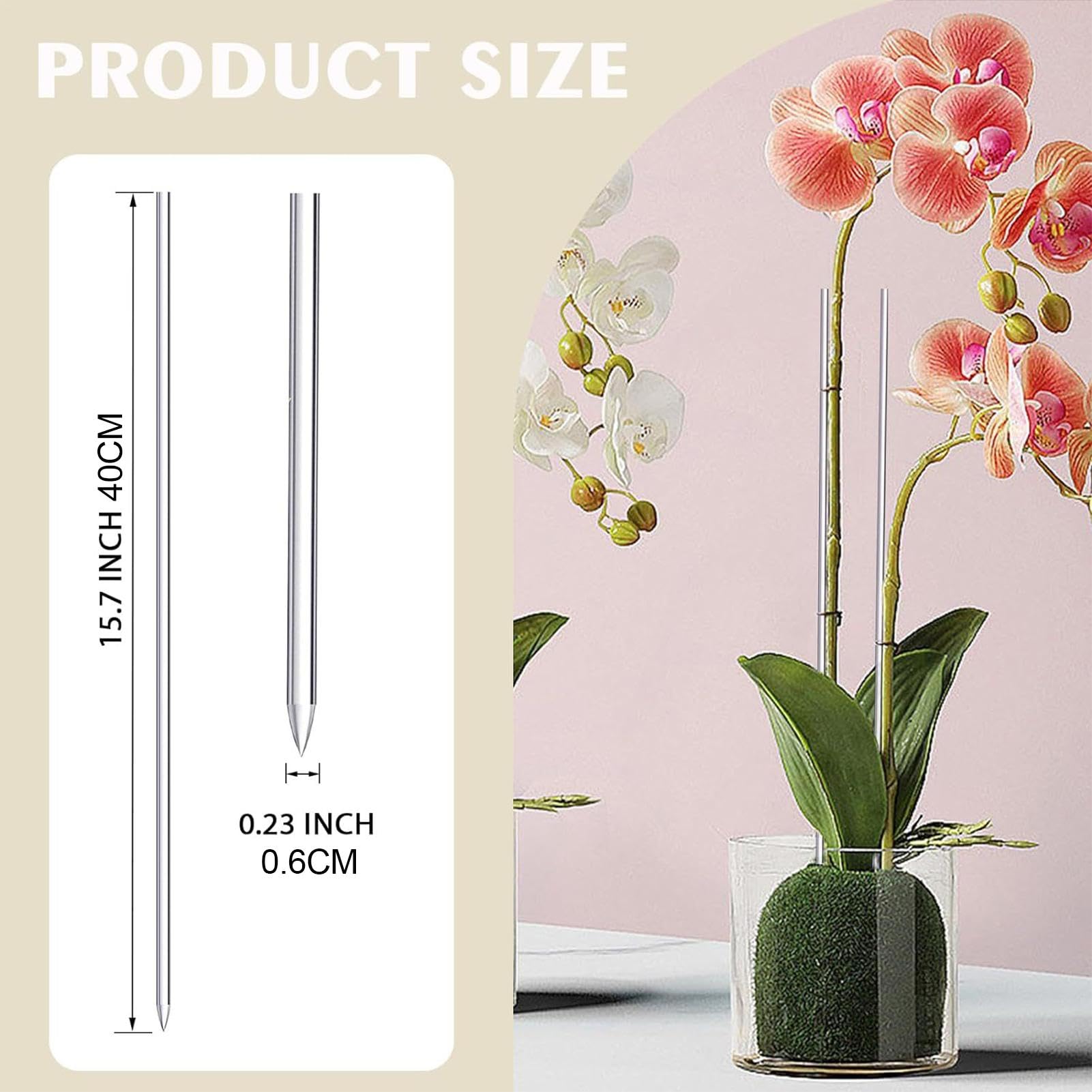 supporto per orchidee DECOR ISTC01-CPNO bianco trasparente