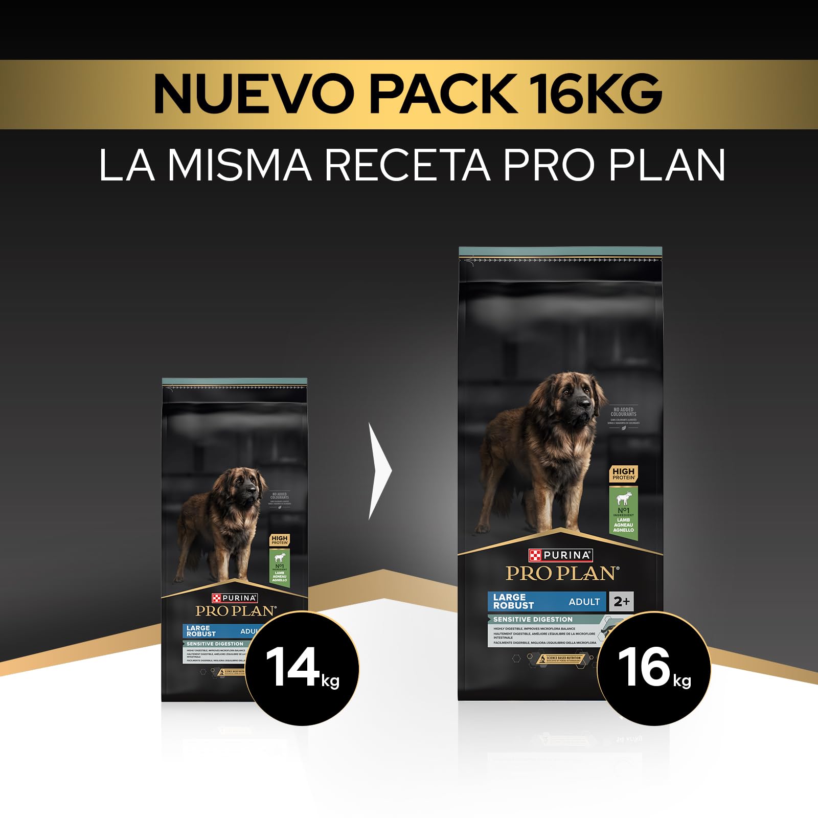 Purina Pro Plan Large Adult Robust Digestion Pienso para Perro Grande Adulto, Digestión Sensible con Cordero, Saco de 16kg