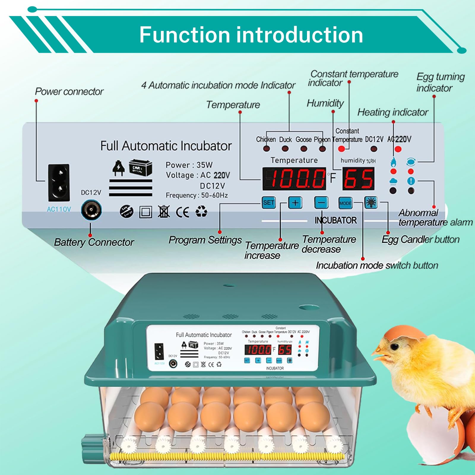 36/120 Incubadora Huevo Automático, Huevos Incubadoras para Huevos De Ave De Coral, Silenciador Incubadora De Huevo Automático, Incubadora Con Cubierta Caliente (36)