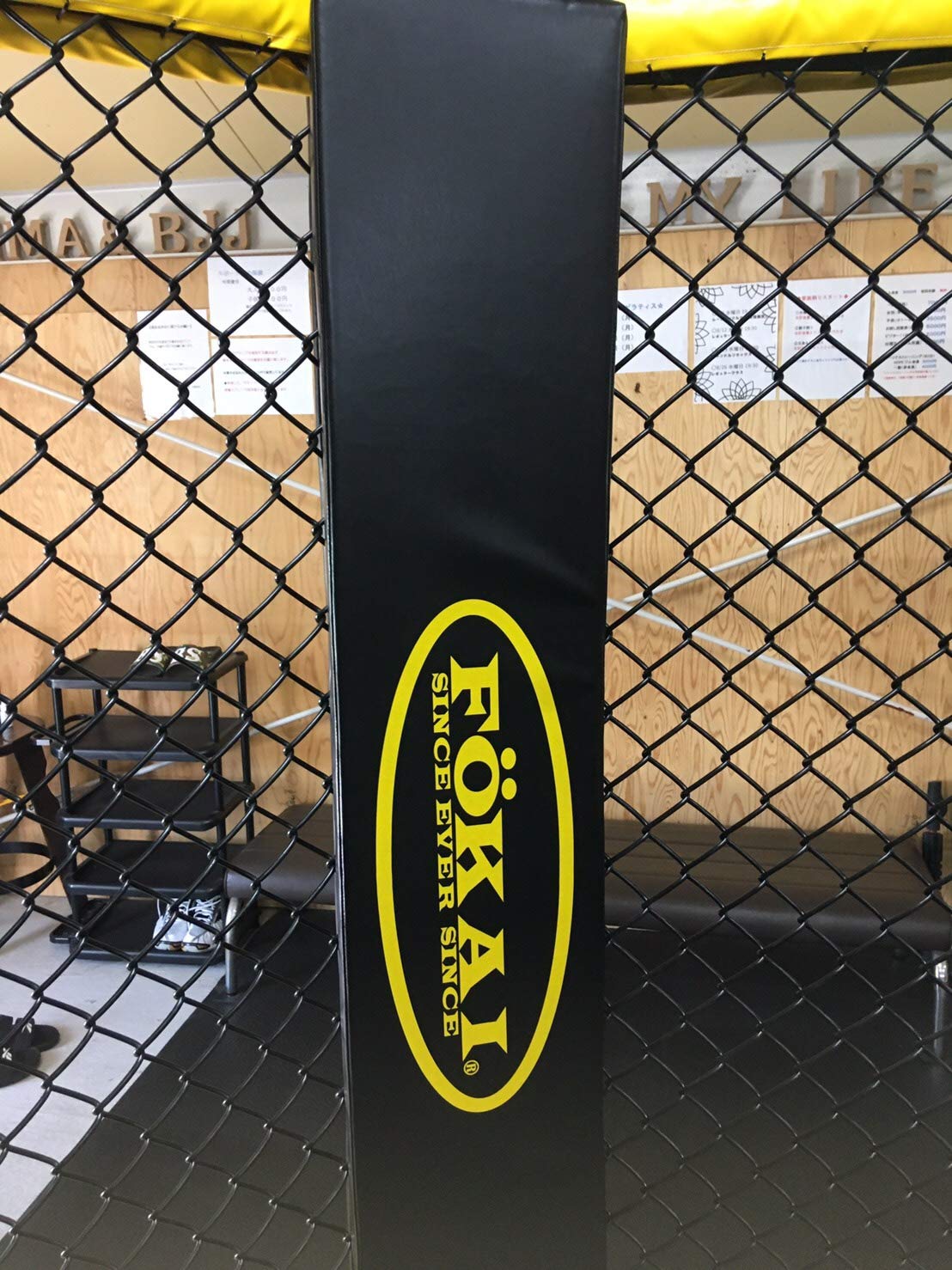 Amazon | 格闘技ケージ（6mx6m） | Dollamur | 筋力トレーニング