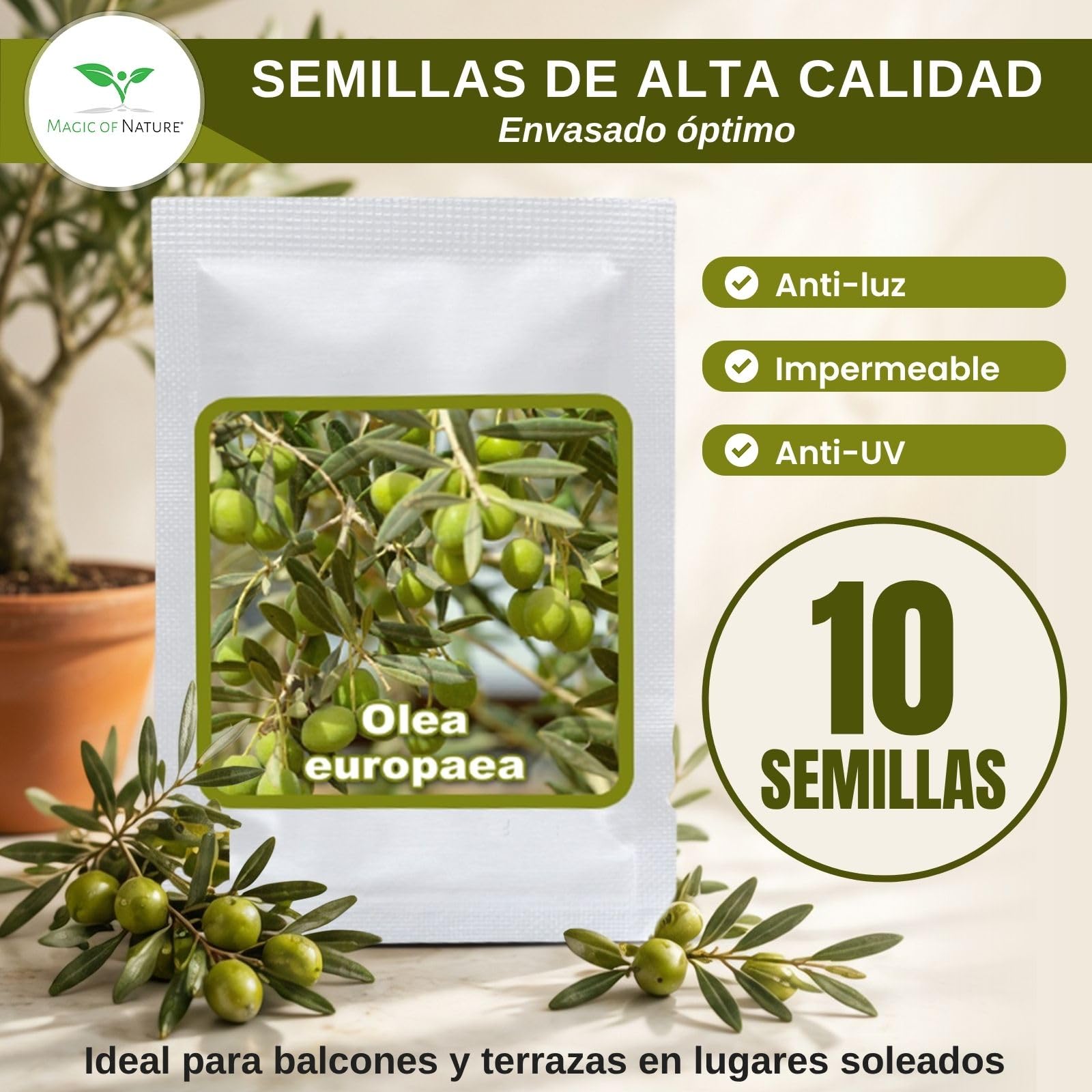 Magic of Nature Semillas de Olivo - 10 Ud. Olea europaea Olivo Mediterráneo para Jardín Balcón & Bonsái - Huesos de Árbol de Aceite Reales