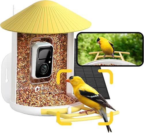 NETVUE by Birdfy Smart Bird Feeder with Camera – AI