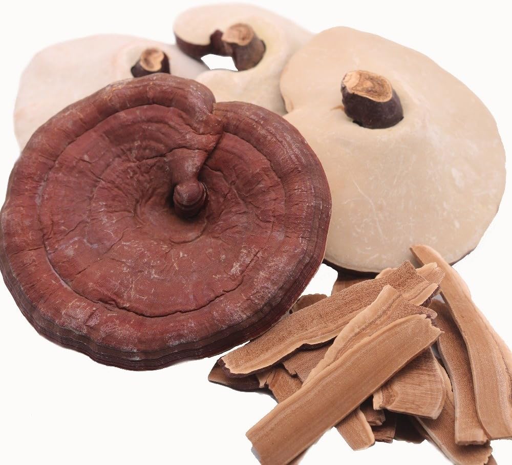 Dried Reishi Mushrooms - 1 lb - Product of Japan